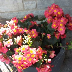 Meet your Posher, Tina